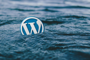 wordpress logo floating in water