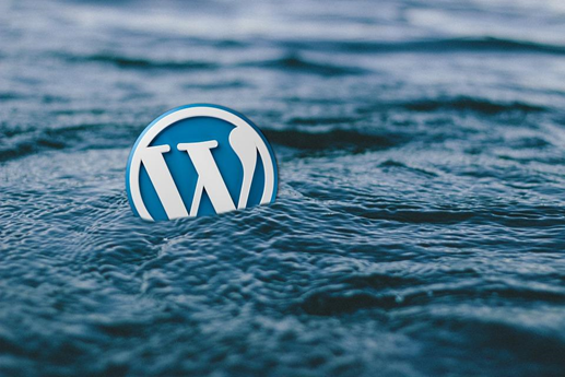 The WordPress logo in a body of water. Article discusses marketing plugins for wordpress.