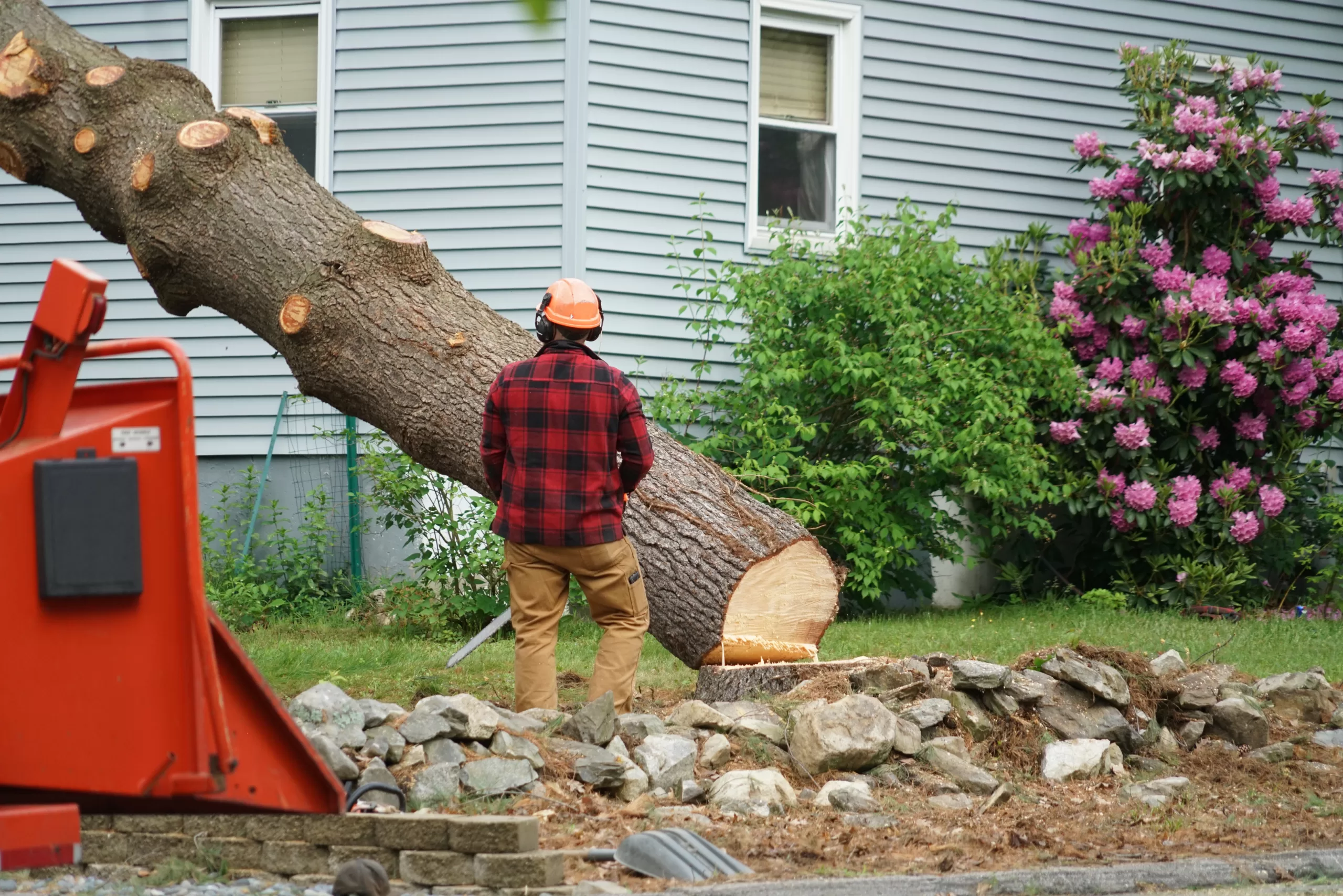 a tree service professional cutting a tree down in front of a craftsman style home. Tree service marketing ideas.